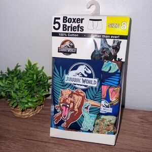 Men's Boxer Briefs - Blue and Multicolor/ Size 8